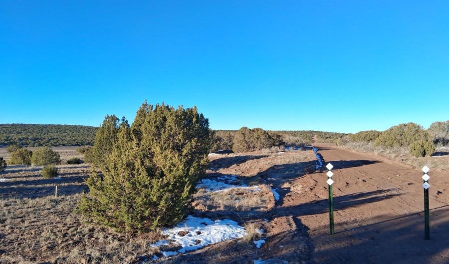 286 County Rd, Concho, AZ 85924 - 0 Beds, 0 Bath