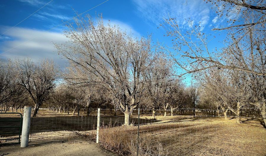 Highway 259, Anthony, NM 88021 - 0 Beds, 0 Bath
