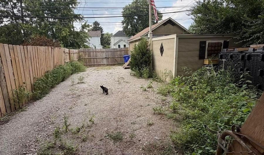 818 Thomas Ave, Columbus, OH 43223 - 2 Beds, 1 Bath
