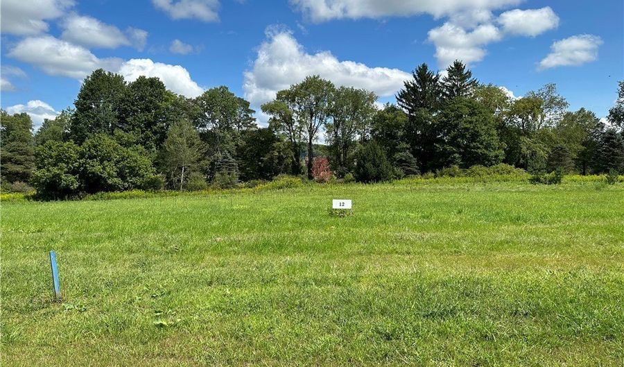 Tanglewood Development lot 12, Allegany, NY 14706 - 0 Beds, 0 Bath