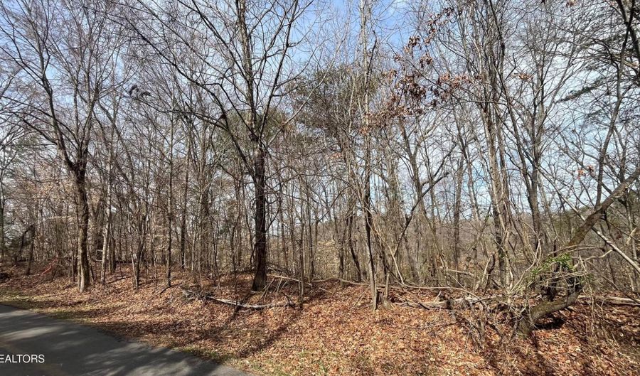 Mountain View Lane Lot # 1101, Baneberry, TN 37890 - 0 Beds, 0 Bath