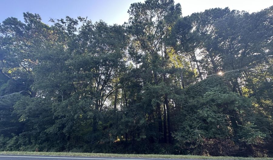 Lot 3a Elberton Highway, Lincolnton, GA 30817 - 0 Beds, 0 Bath