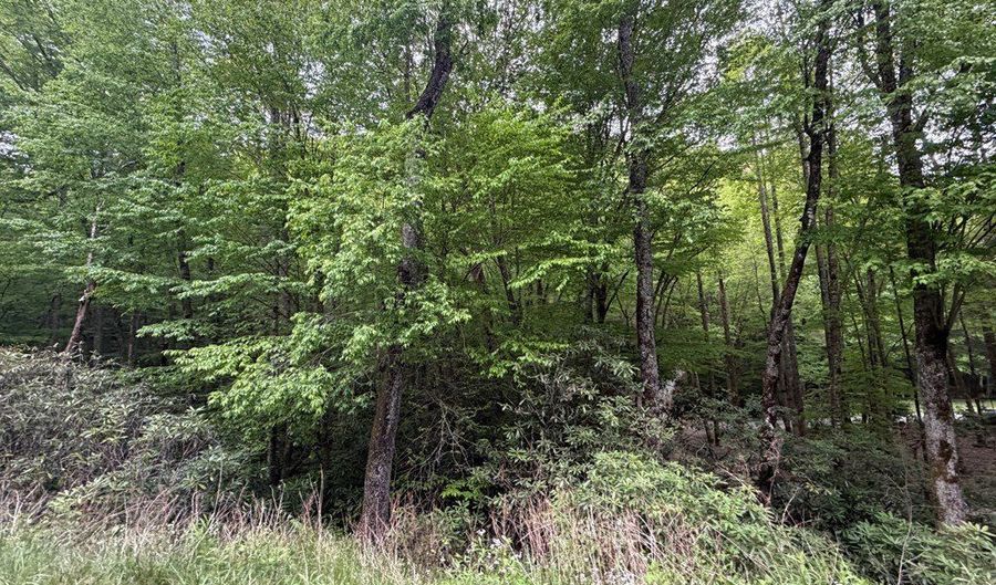 Warrior Way lot 9 & 17, Andrews, NC 28901 - 0 Beds, 0 Bath