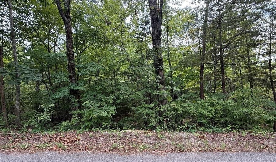 Plymouth DR, Bella Vista, AR 72715 - 0 Beds, 0 Bath