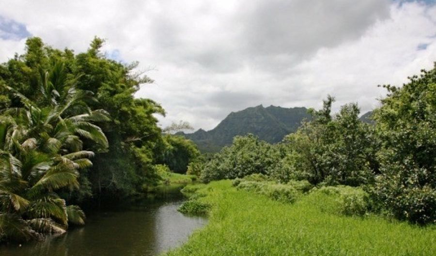 Parcel 39 Lot #: 39, Hanalei, HI 96714 - 0 Beds, 0 Bath