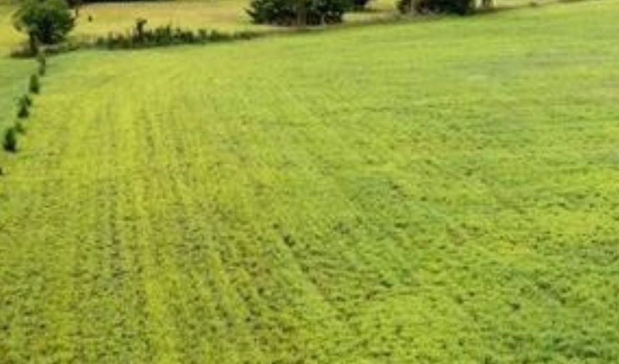 8 46 Acres Coon Rock Rd, Arena, WI 53503 - 0 Beds, 0 Bath