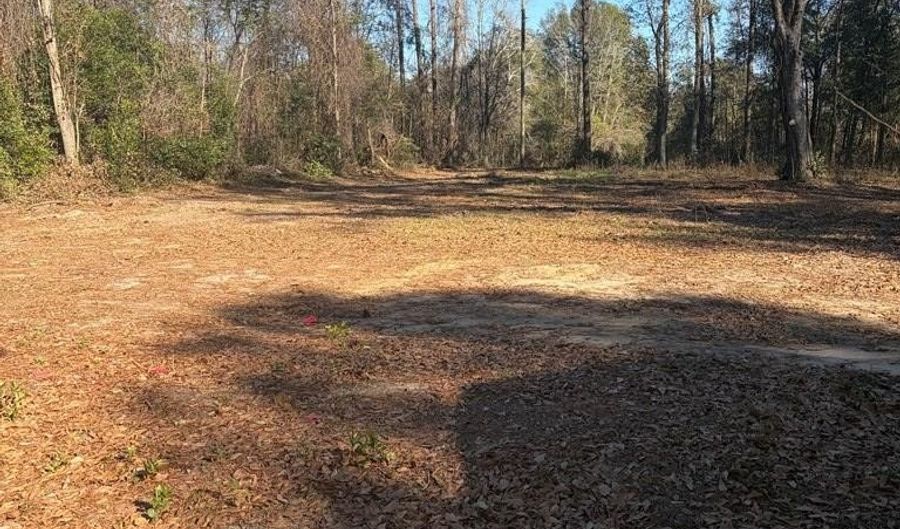 3772 County Road 11, Ariton, AL 36311 - 3 Beds, 2 Bath