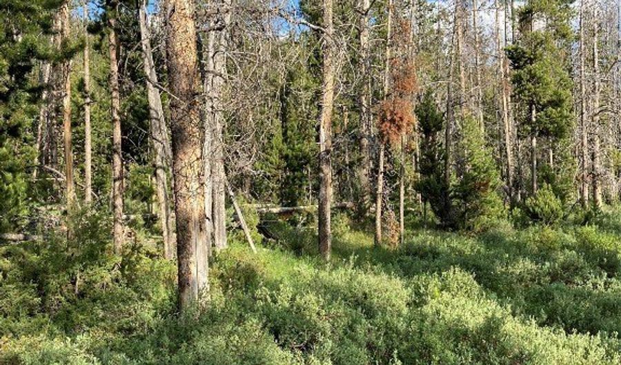 Tbd Grouse Hill, Anaconda, MT 59711 - 0 Beds, 0 Bath