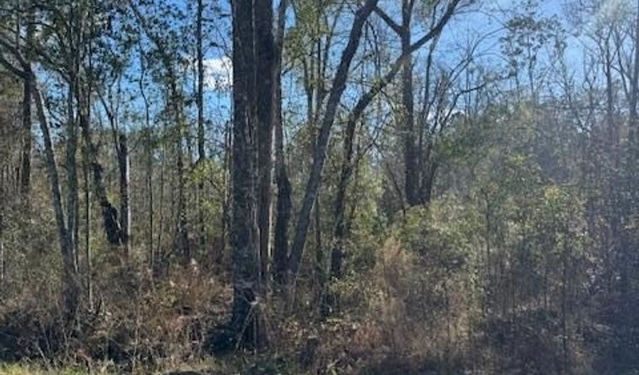 S Caulie Harris Rd. lot 3, Adel, GA 31620 - 0 Beds, 0 Bath