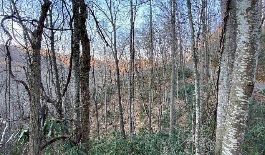 2 13 Acres Big Ridge Rd, Bakersville, NC 28705 - 0 Beds, 0 Bath