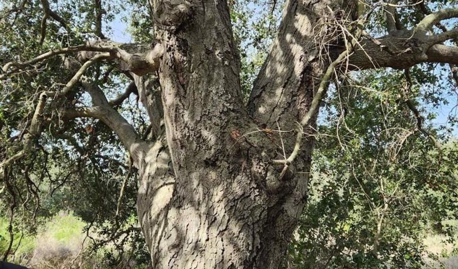 4800 Street Blk 5th, Fallbrook, CA 92028 - 0 Beds, 0 Bath