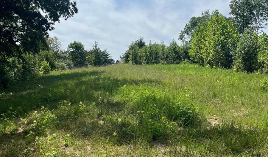 9 AC Lily Dale Rd, Allons, TN 38541 - 0 Beds, 0 Bath