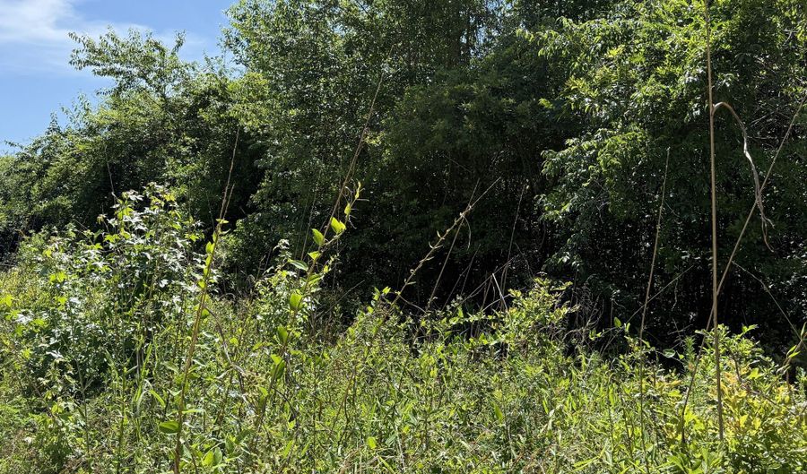 Lot # 3 - 6.2+/- Perry Horton, Adrian, GA 31002 - 0 Beds, 0 Bath