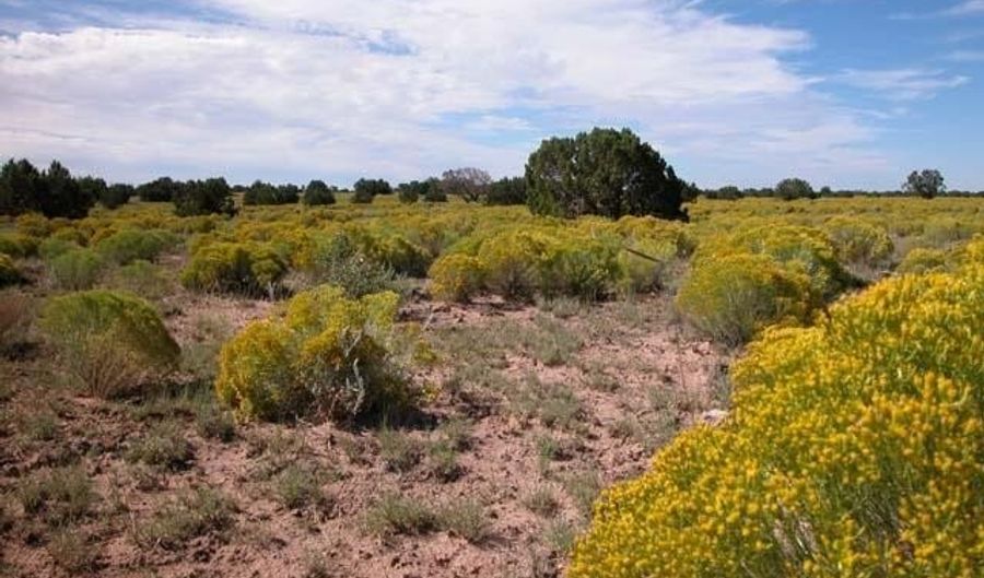 Bar Nothing Ranch Road unit 409 409, Chambers, AZ 86502 - 0 Beds, 0 Bath