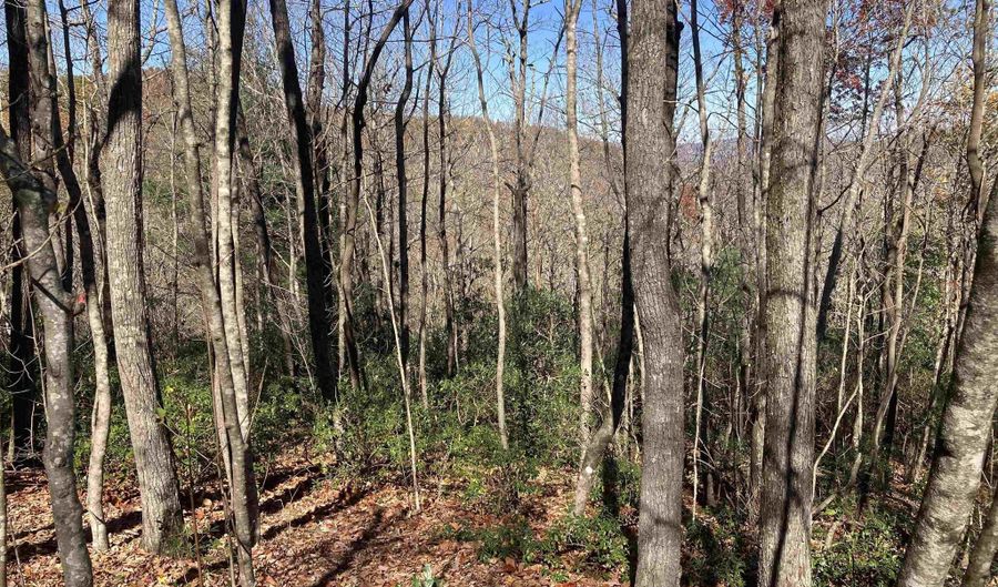 Wild Magnolia Way Lot #46, Zirconia, NC 28790 - 0 Beds, 0 Bath