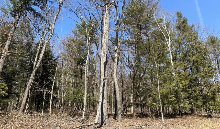 TALLMAN HOLLOW ROAD LOT #2, Montoursville, PA 17754 - 0 Beds, 0 Bath
