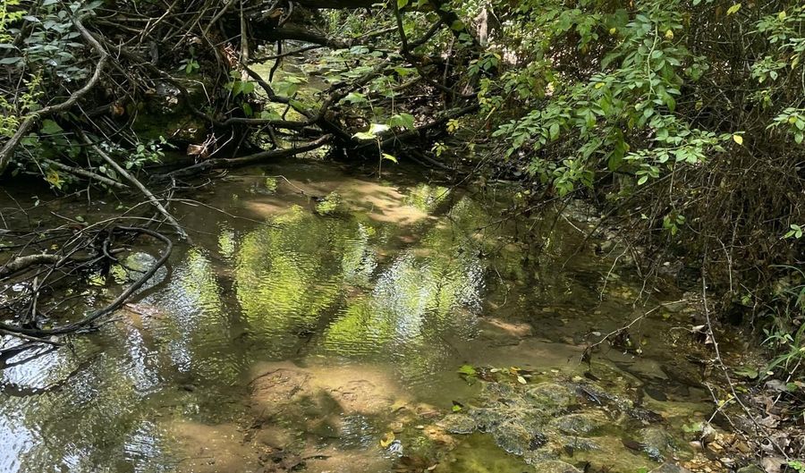 6609 County Road O-535, Ava, MO 65608 - 4 Beds, 0 Bath