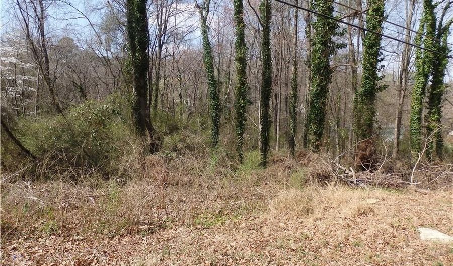 Chestnut Street, Asheboro, NC 27203 - 0 Beds, 0 Bath