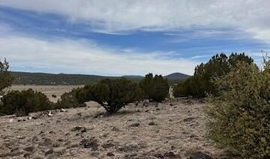 38 CR 8250, Concho, AZ 85924 - 0 Beds, 0 Bath