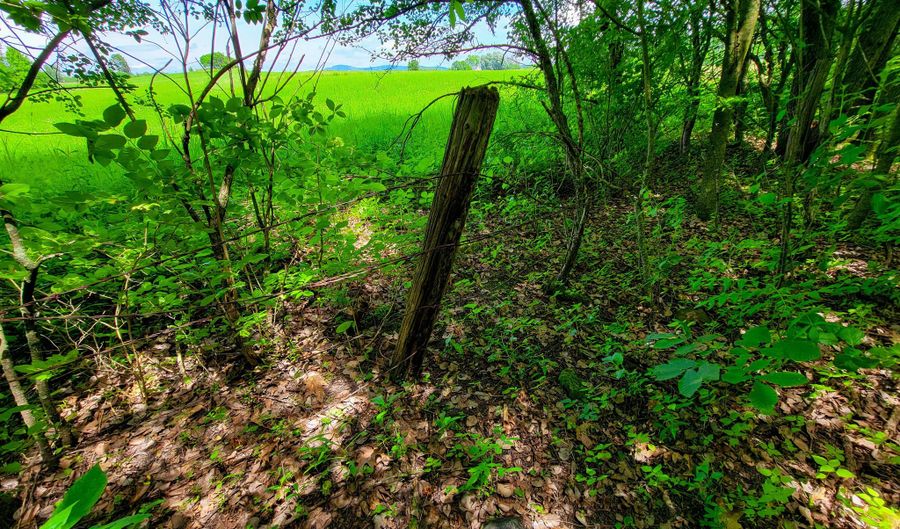 4376 VT-22A, Bridport, VT 05734 - 0 Beds, 0 Bath