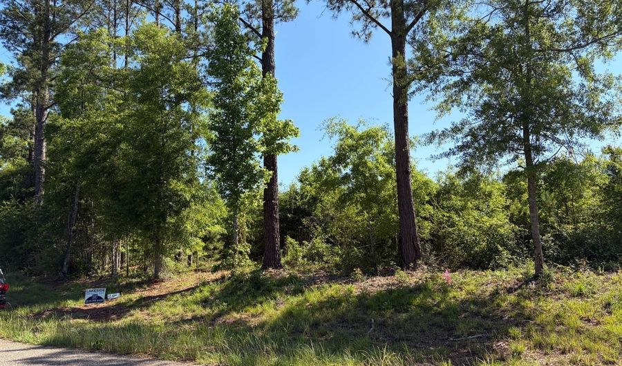 006 Rose Hill Rd 006, Andalusia, AL 36028 - 0 Beds, 0 Bath