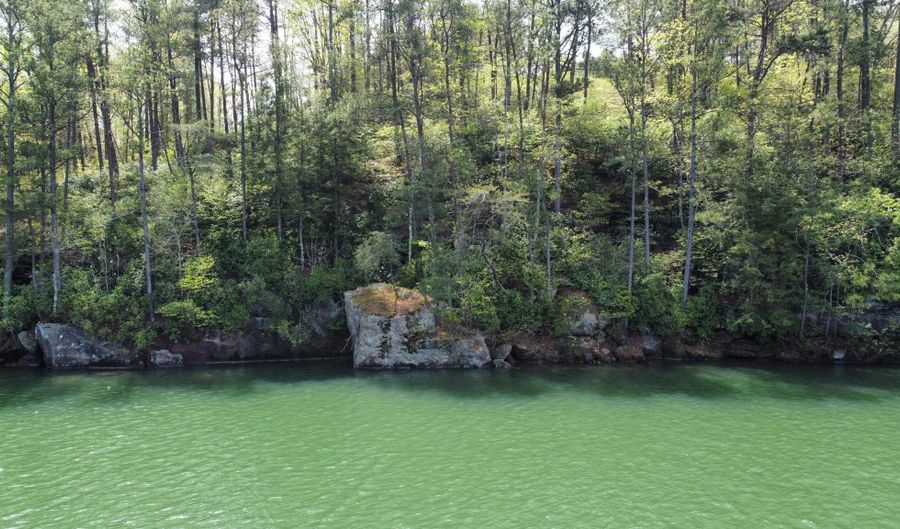 LOT 59 SIPSEY OVERLOOK, Double Springs, AL 35553 - 0 Beds, 0 Bath