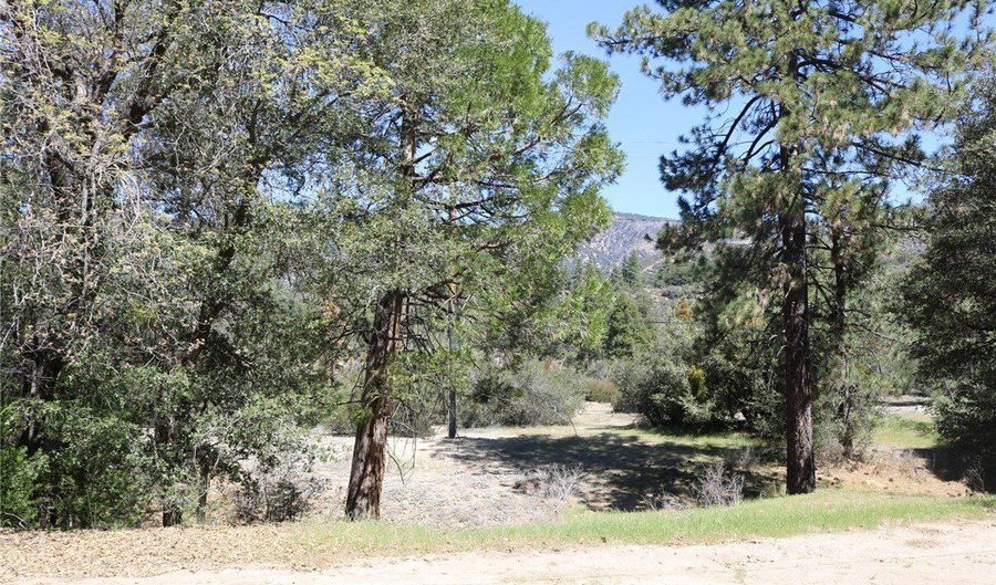 30 Seven Oaks Rd 30, Angelus Oaks, CA 92305 - 1 Beds, 1 Bath