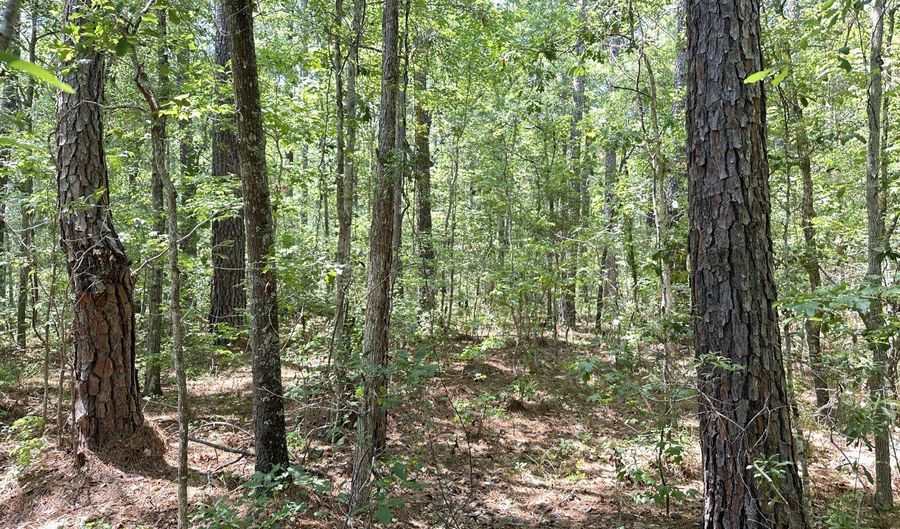 Highway 17A, Bonneau, SC 29431 - 0 Beds, 0 Bath