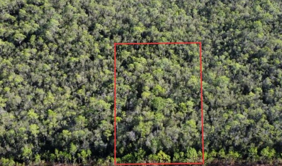 Lot 15 Peachtree Rd, Apalachicola, FL 32320 - 0 Beds, 0 Bath