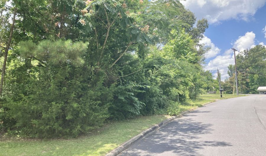 Parrish St, Alexander City, AL 35010 - 0 Beds, 0 Bath