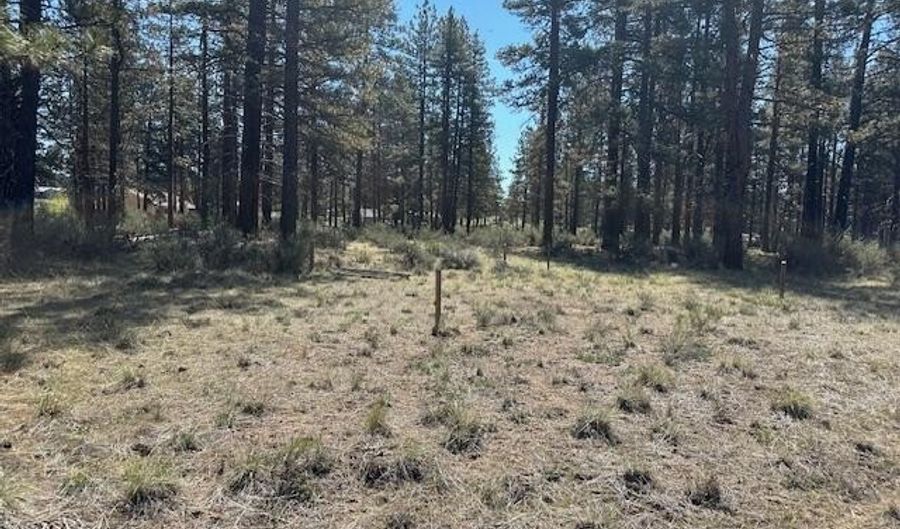 Ruddy Duck Drive Lot 5, Bonanza, OR 97623 - 0 Beds, 0 Bath