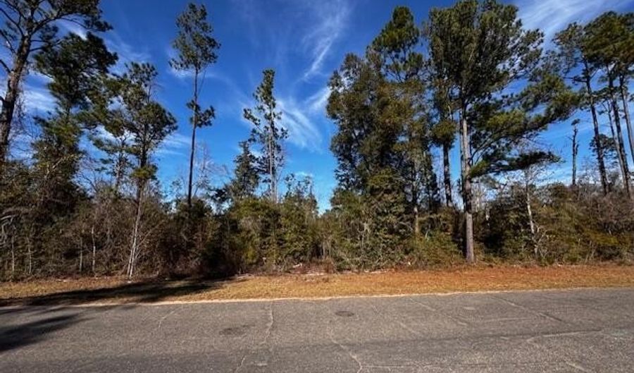 Lot 7 Blk 204 Vancouver Drive, Alford, FL 32420 - 0 Beds, 0 Bath