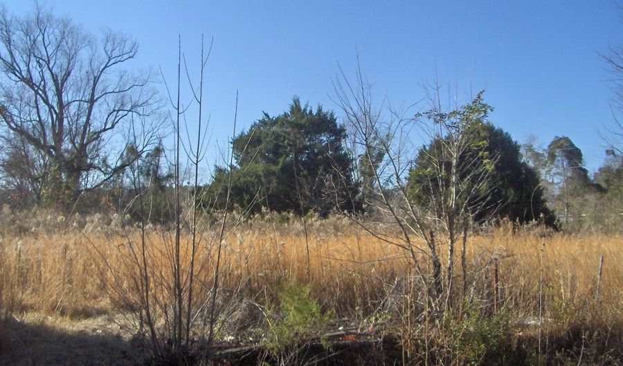 Barwick Road, Barnwell, SC 29812 - 0 Beds, 0 Bath