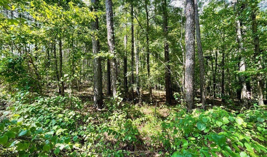 Cotton Lane lot 23, Alexander City, AL 35010 - 0 Beds, 0 Bath