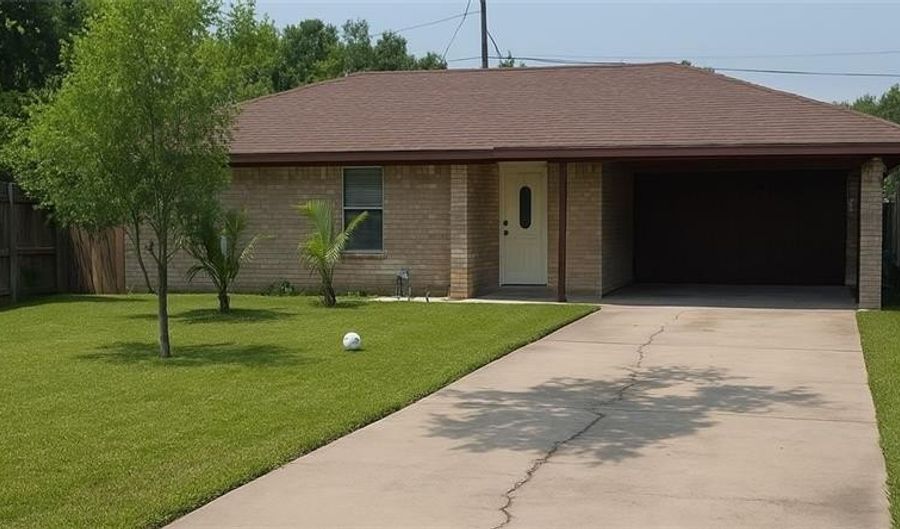 1319 Sago Palm St, Alamo, TX 78516 - 3 Beds, 1 Bath