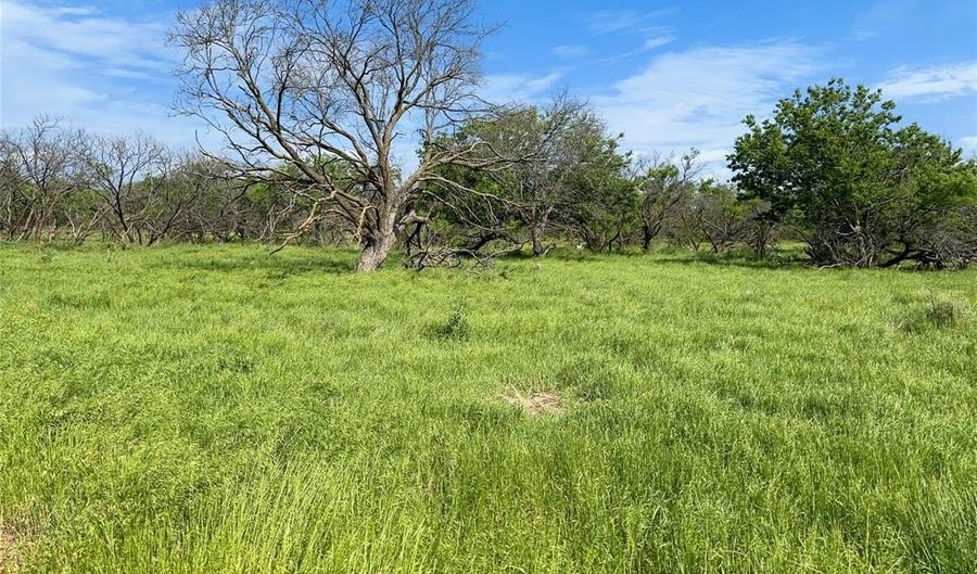 1678 Buerger, Archer City, TX 76351 - 0 Beds, 0 Bath