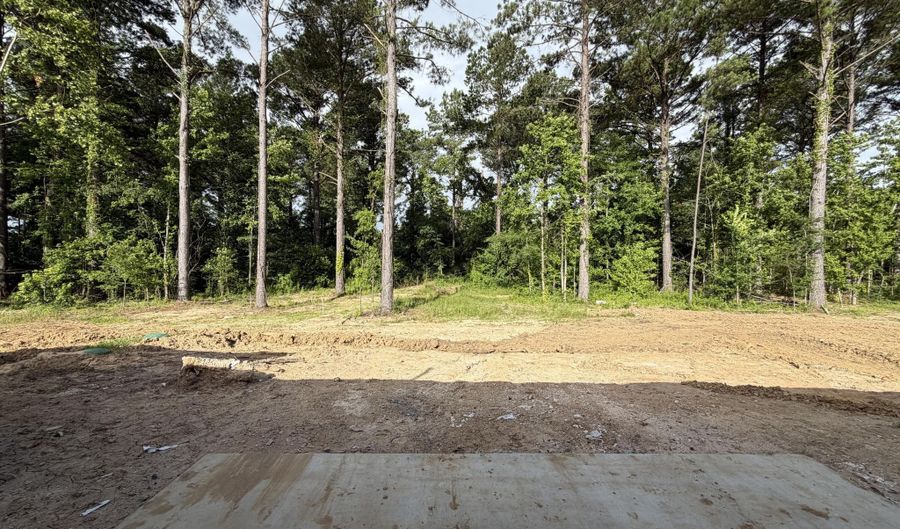 220 New Haven Ln, Brandon, MS 39042 - 4 Beds, 2 Bath