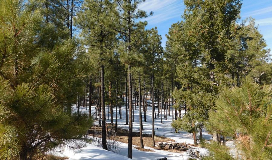 Lot 29 ERIC LANE, Alpine, AZ 85920 - 0 Beds, 0 Bath