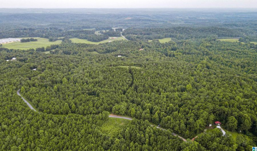 200 TABLEE LANE Lot 17.65, Ashland, AL 36251 - 0 Beds, 0 Bath