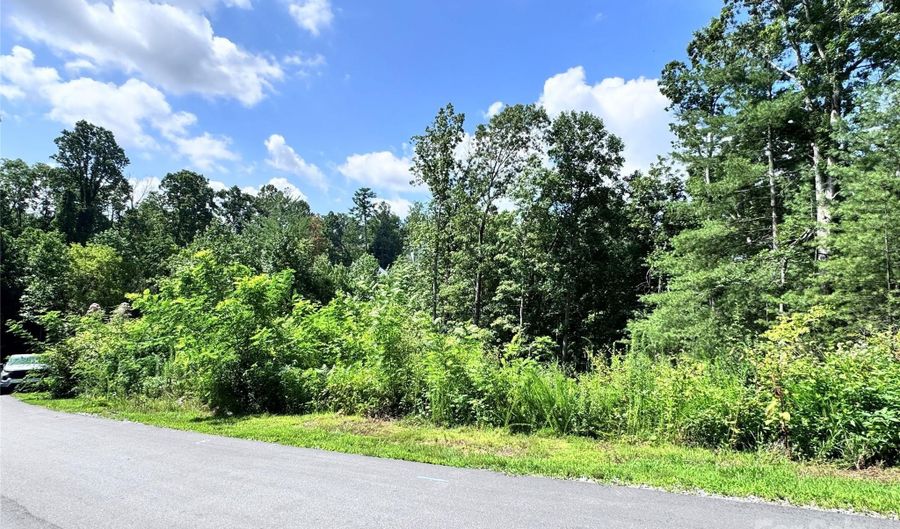 3 Winter Hawk Dr 1, Arden, NC 28704 - 0 Beds, 0 Bath