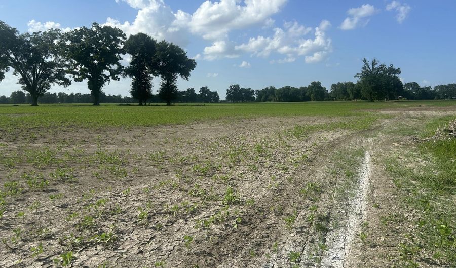 Oscar Rivette Road lot Tract 4, Arnaudville, LA 70512 - 0 Beds, 0 Bath