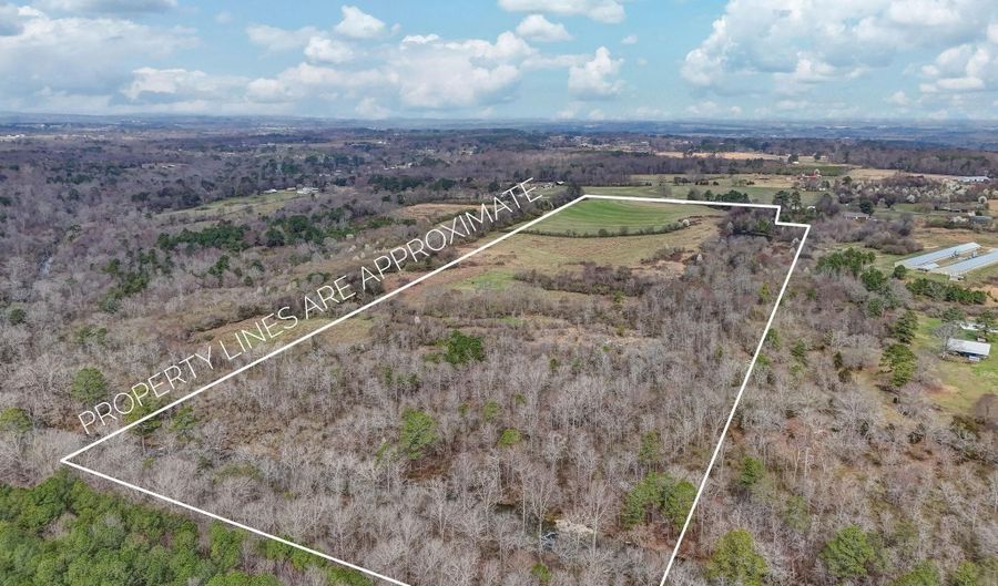 1368 Davis Rd, Albertville, AL 35951 - 3 Beds, 1 Bath