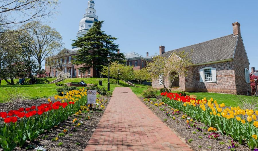 617 S CHERRY GROVE Ave, Annapolis, MD 21401 - 3 Beds, 4 Bath