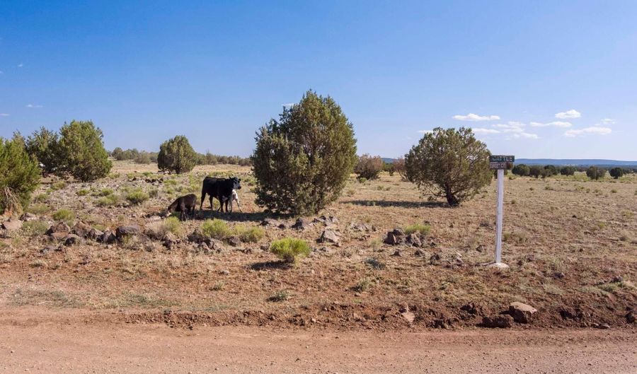 W Conwayden Road, Ash Fork, AZ 86320 - 0 Beds, 0 Bath