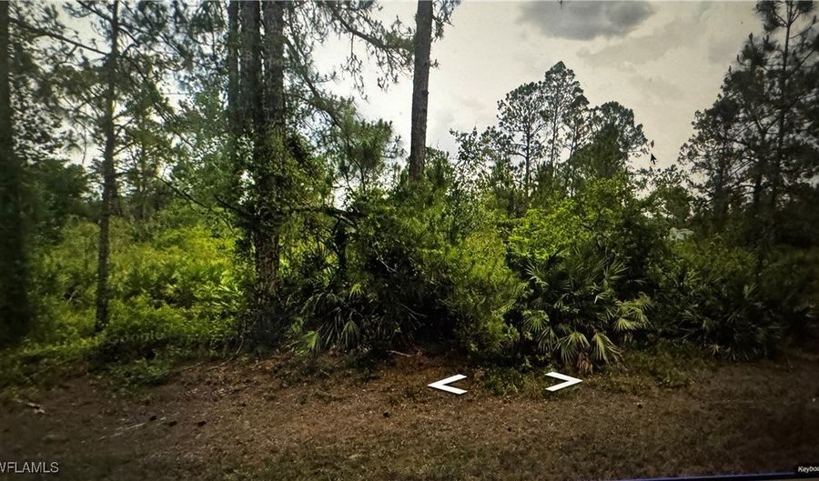 2109 Moore Ave, Alva, FL 33920 - 0 Beds, 0 Bath