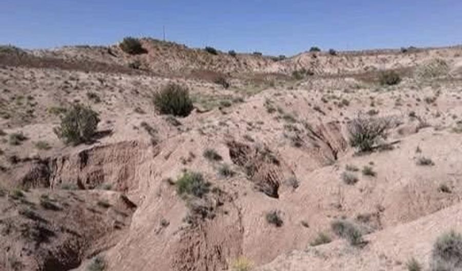 210-06 005 & 206-51-136, Chambers, AZ 86502 - 0 Beds, 0 Bath