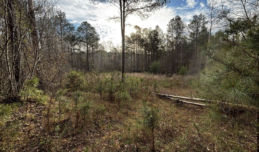 0 County Road 93, Bankston, AL 35554 - 0 Beds, 0 Bath