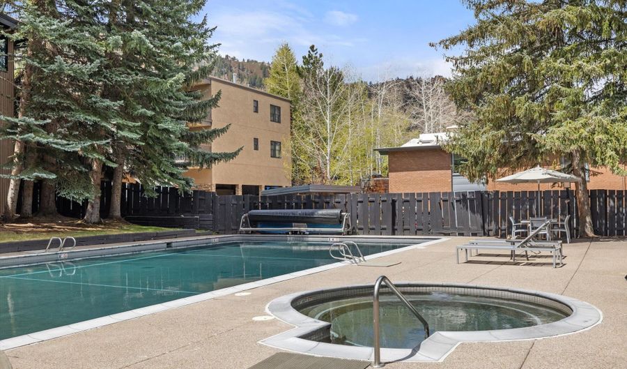 1039 E COOPER Avenue 21A, Aspen, CO 81611 - 3 Beds, 3 Bath