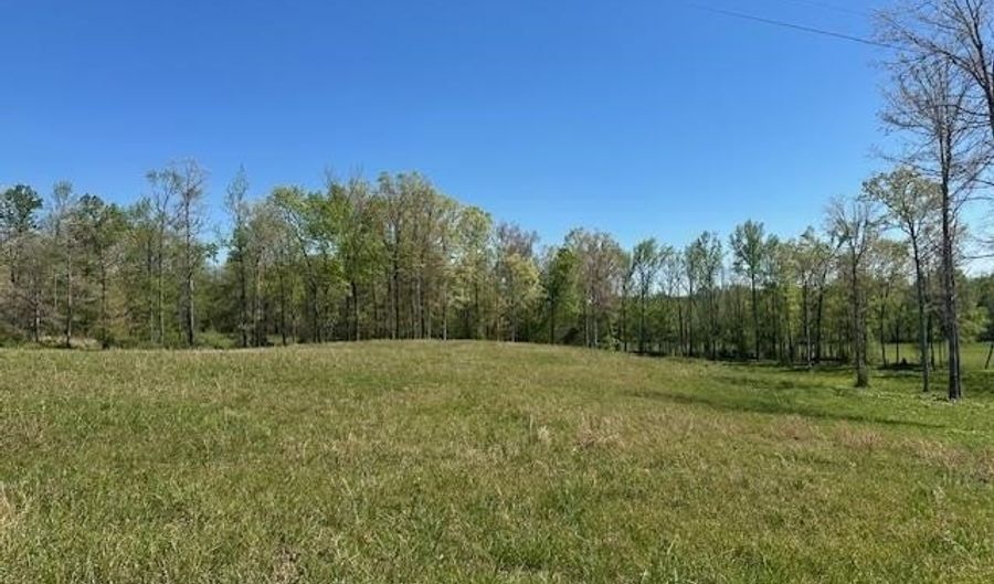 PEAR BLOSSOM Ln lot 10 And 11, Adamsville, TN 38310 - 0 Beds, 0 Bath