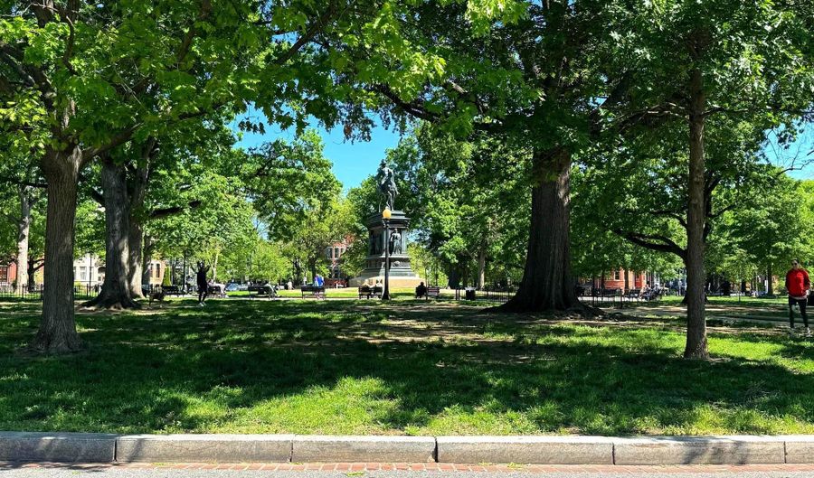 1245 NW 13TH St NW 313, Washington, DC 20005 - 1 Beds, 1 Bath